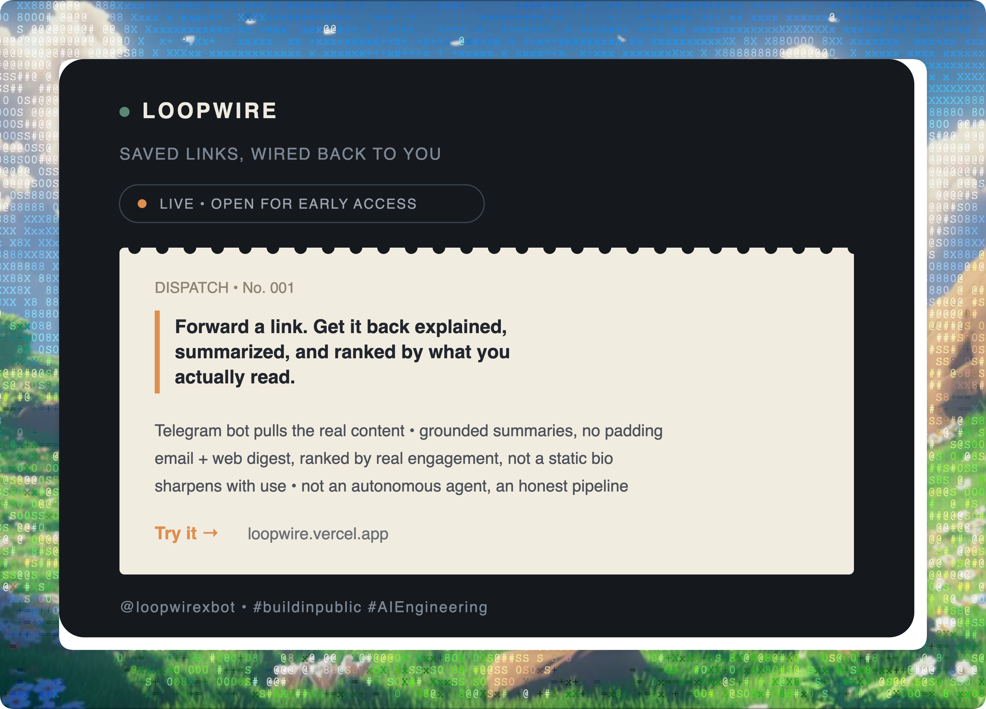Loopwire